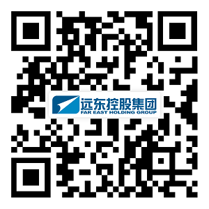 遠(yuǎn)東控股集團